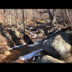 Meet your Posher, Cassidy